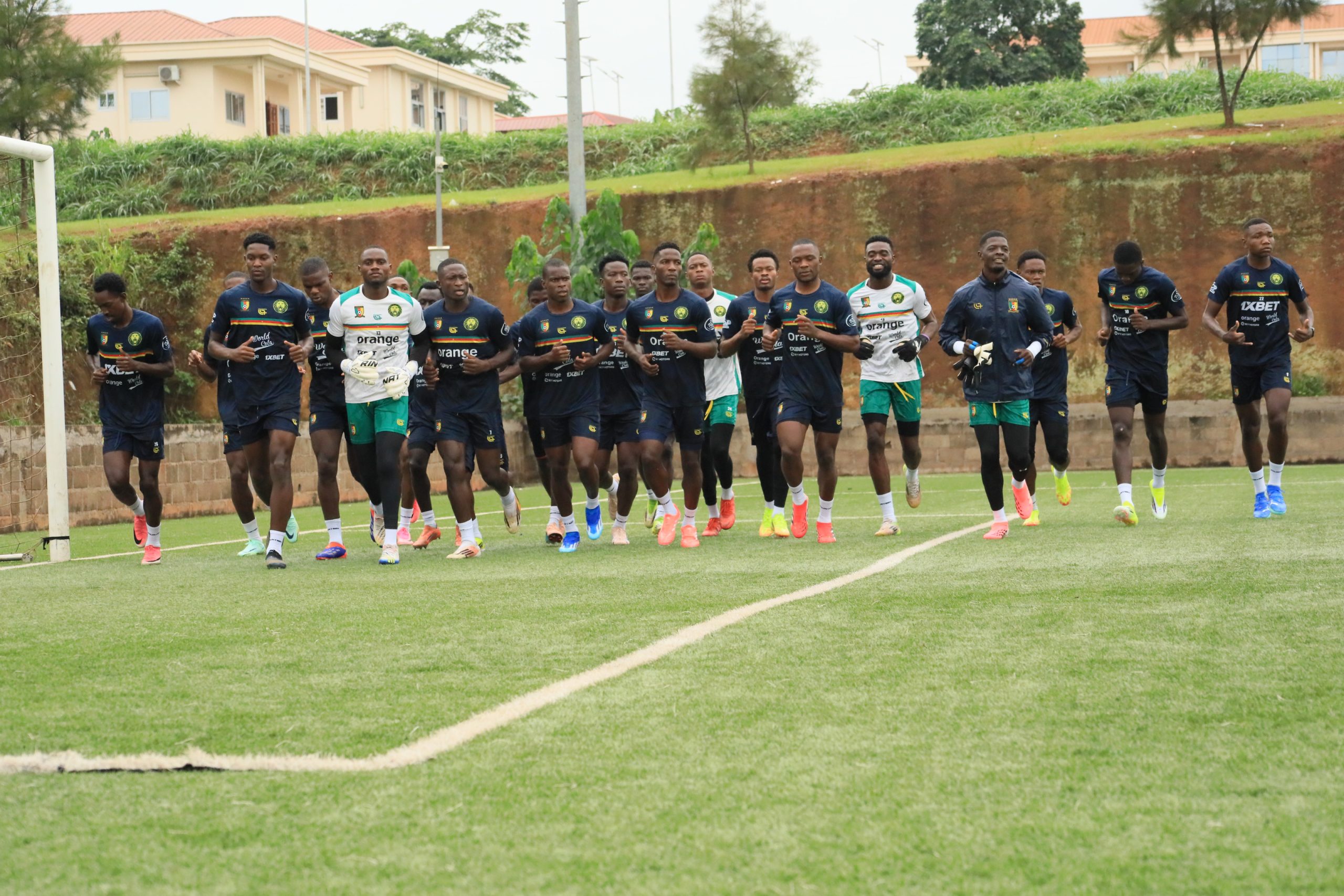 Les Lions olympiques sont en cage